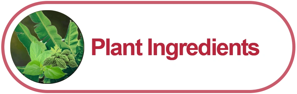 Plant-Ingredients-001v1